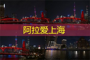 双子座的我 双子座的我